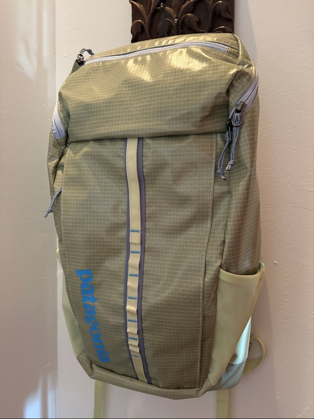 Patagonia New without tags Hiking Backpack Green Unisex Black Hole Pack 25 l